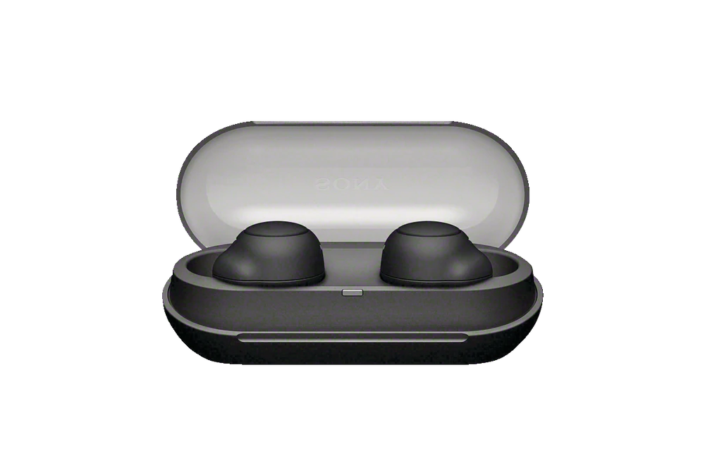 Sony WF-C500 True Wireless Earbuds
